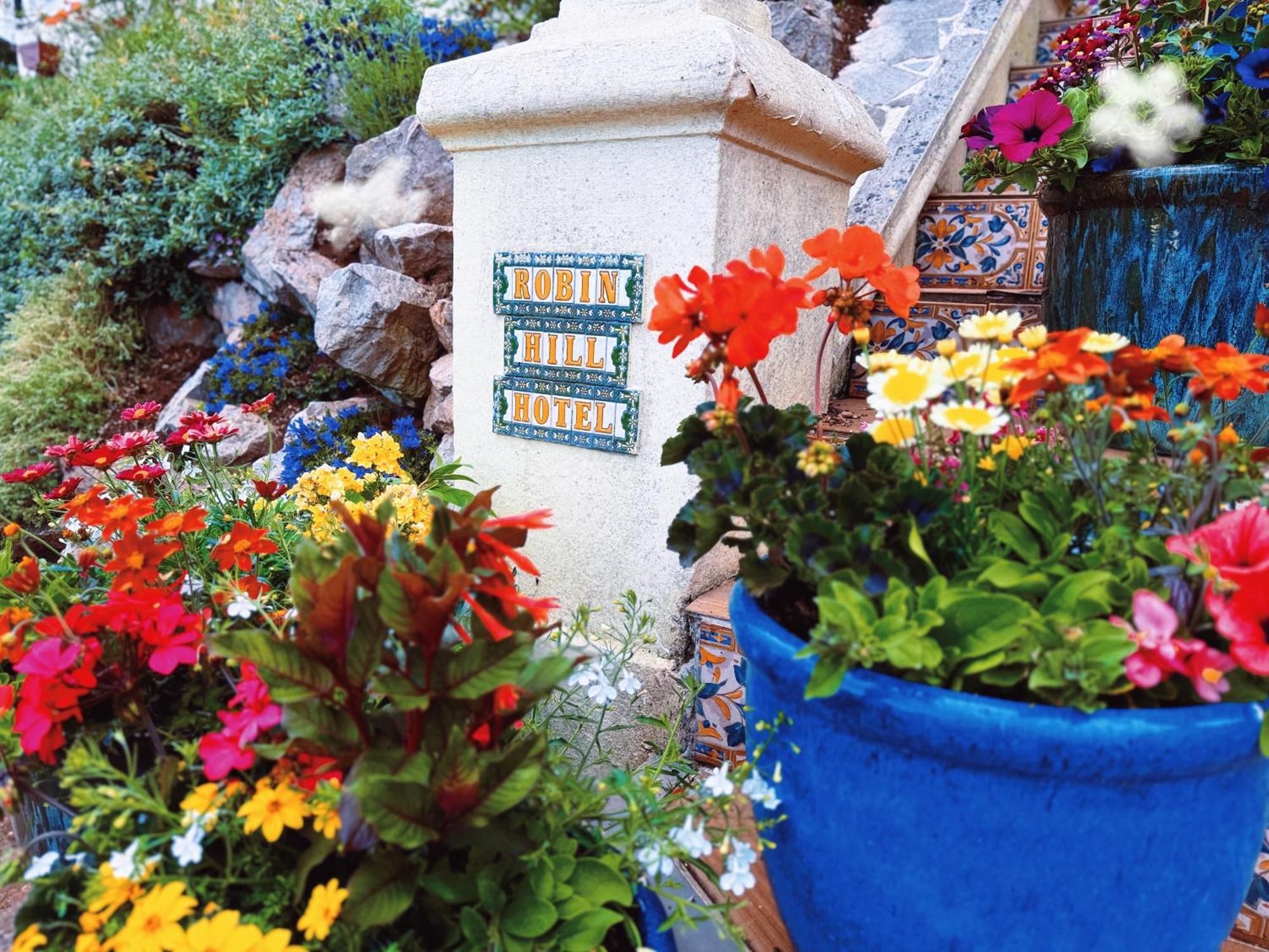 The Robin Hill Bed & Breakfast Torquay Dış mekan fotoğraf