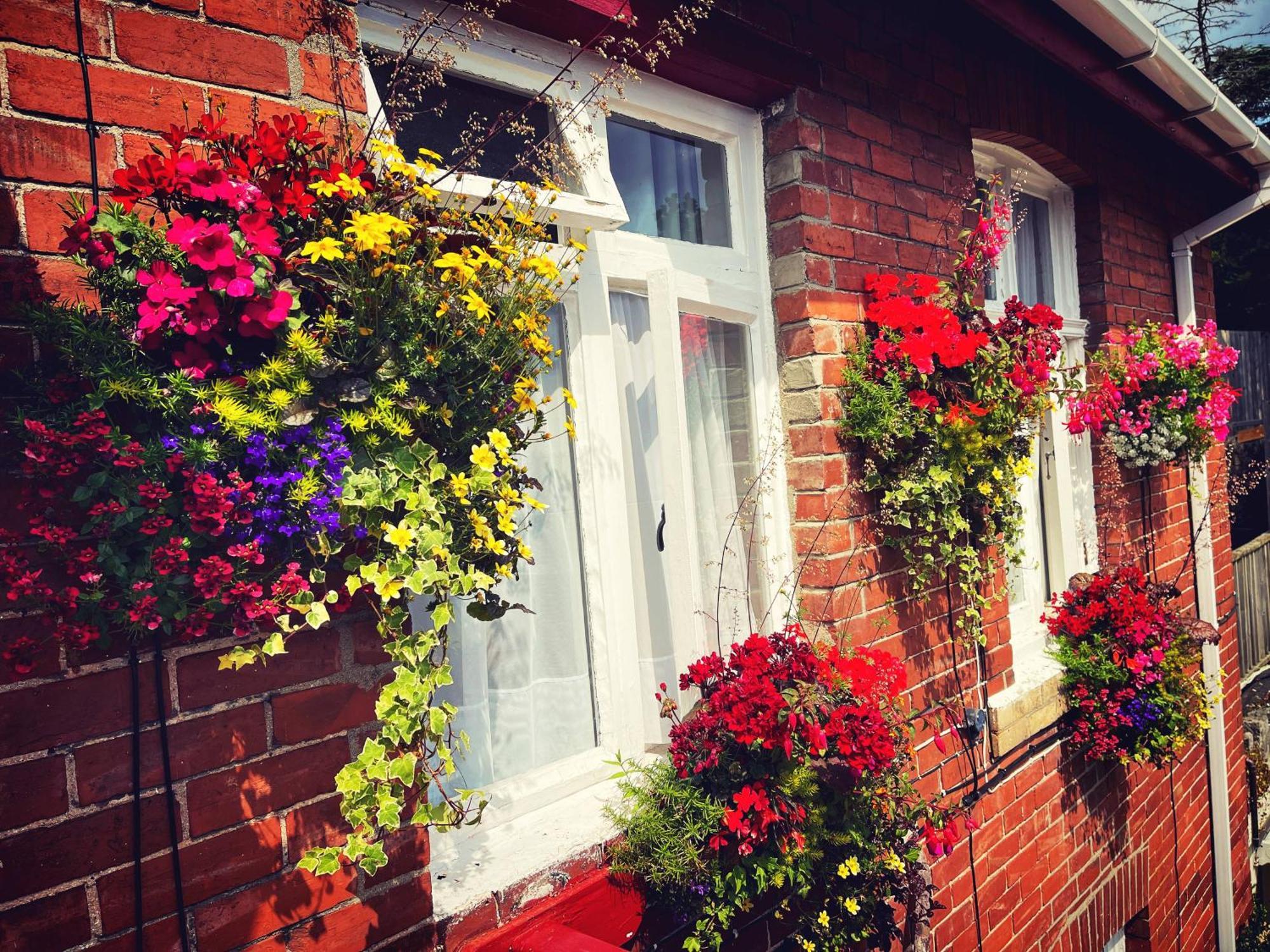 The Robin Hill Bed & Breakfast Torquay Dış mekan fotoğraf