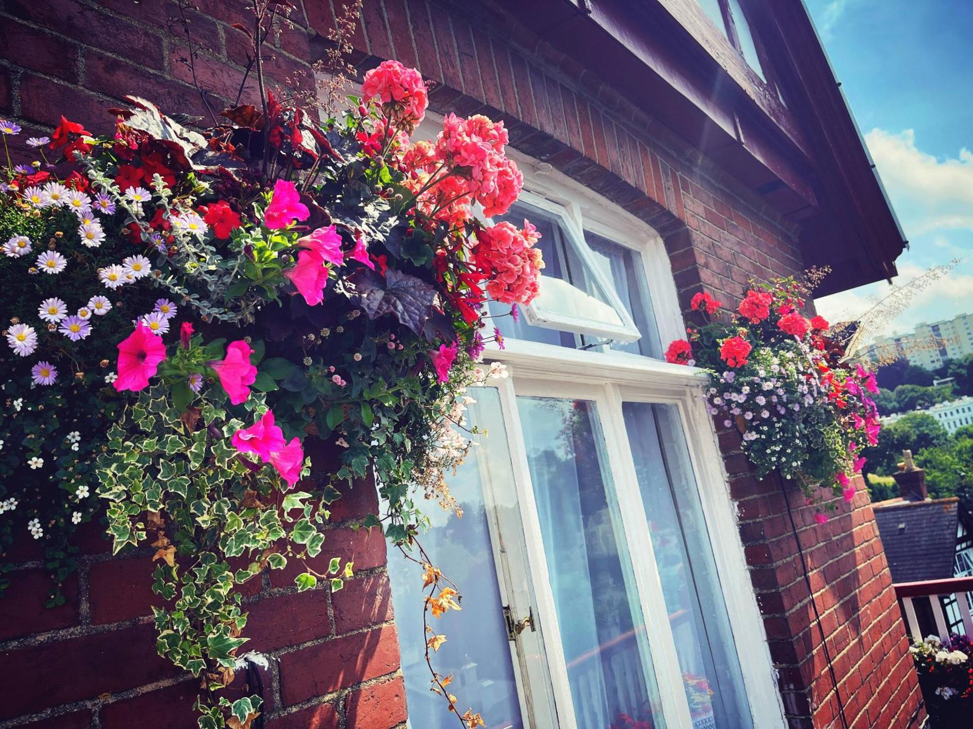 The Robin Hill Bed & Breakfast Torquay Dış mekan fotoğraf
